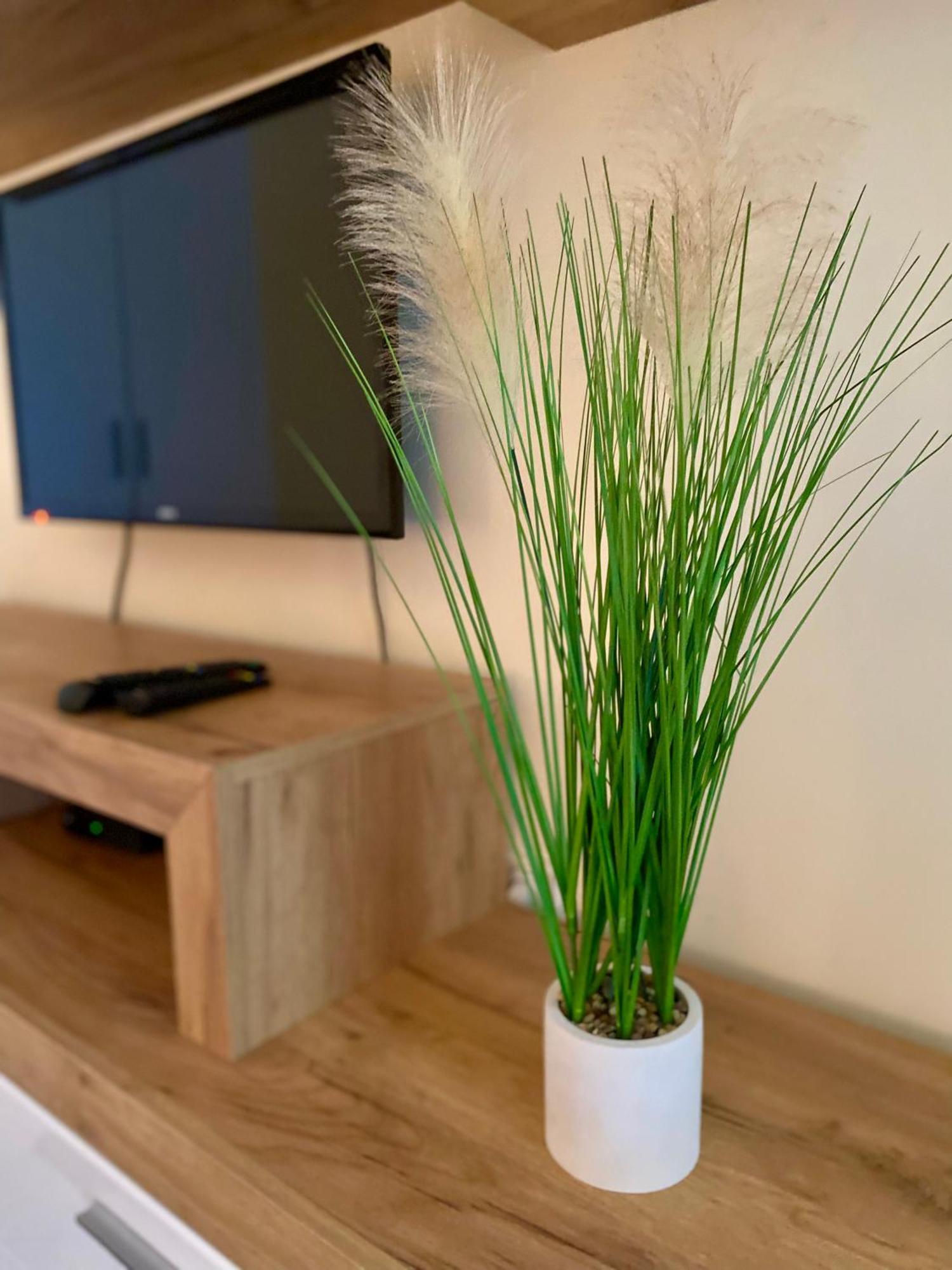 Apartmani Dragana Herceg Novi Exteriör bild