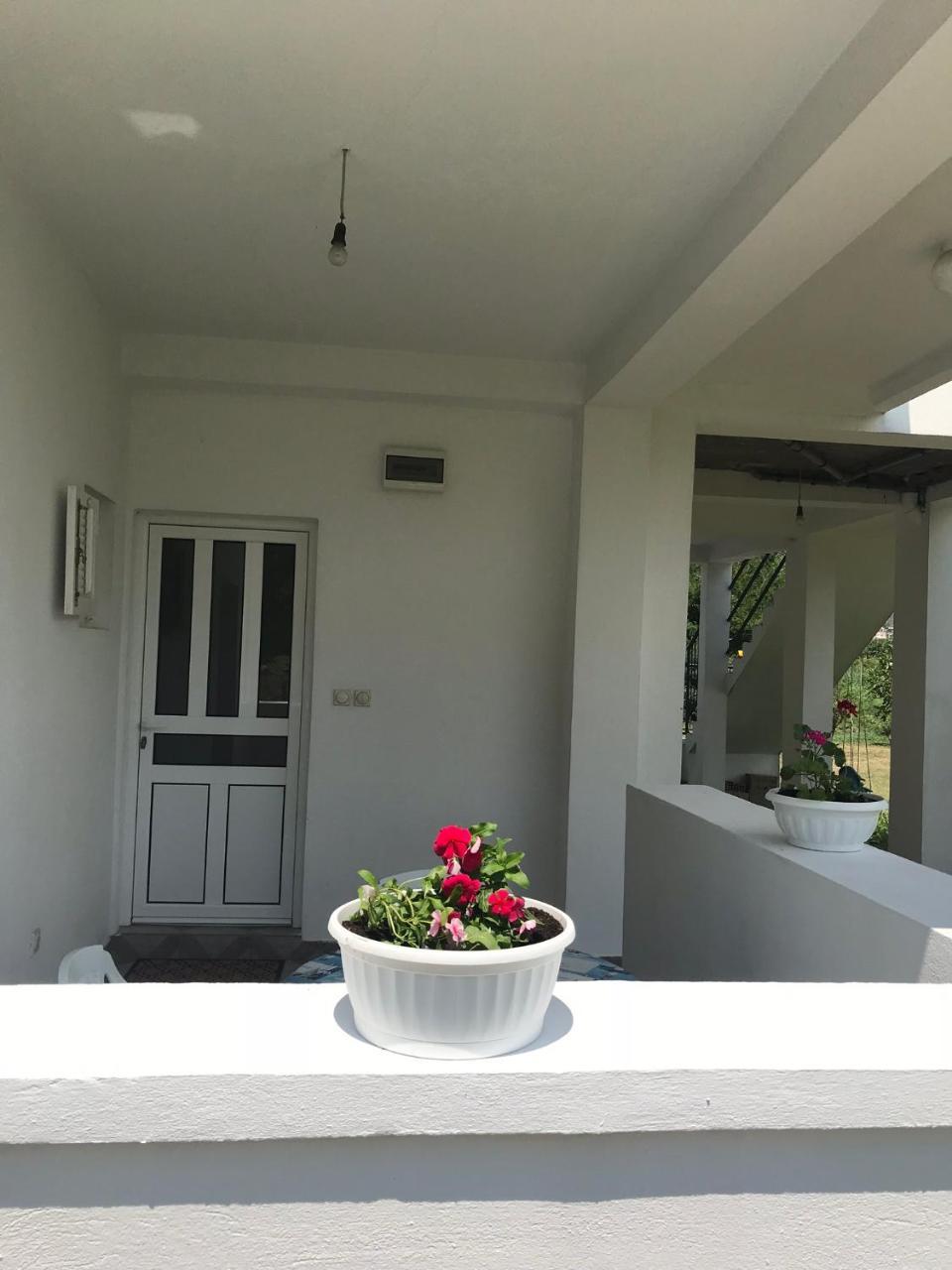 Apartmani Dragana Herceg Novi Exteriör bild