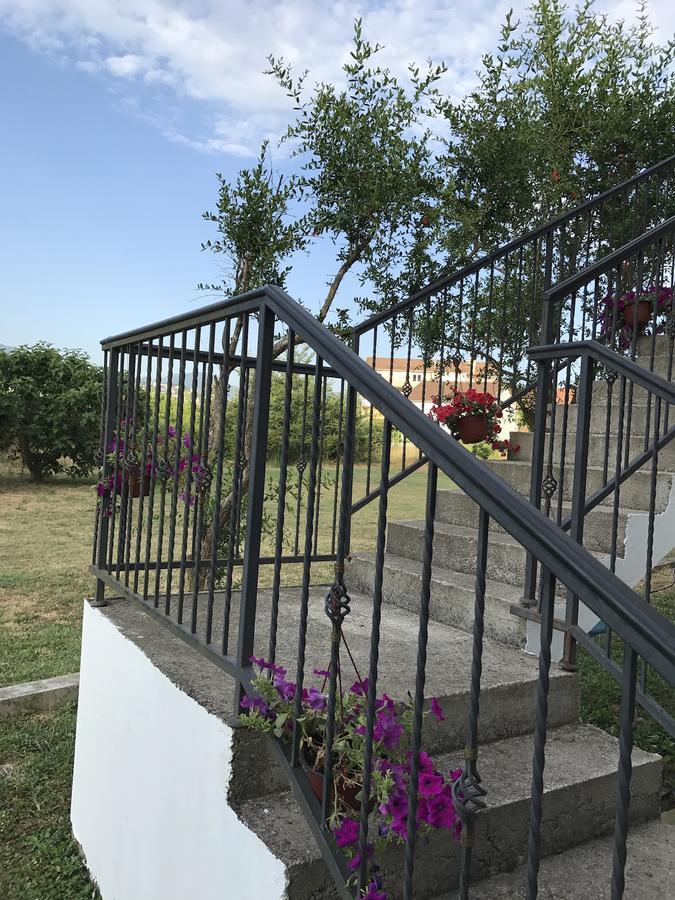 Apartmani Dragana Herceg Novi Exteriör bild